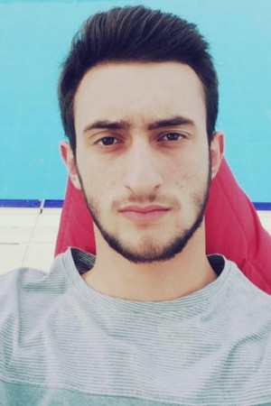 Дикарева Алена Александровна